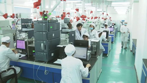 吉林創(chuàng)新指數(shù)躍升全國(guó)第一，科技強(qiáng)國(guó)戰(zhàn)略下的東北振興新篇章